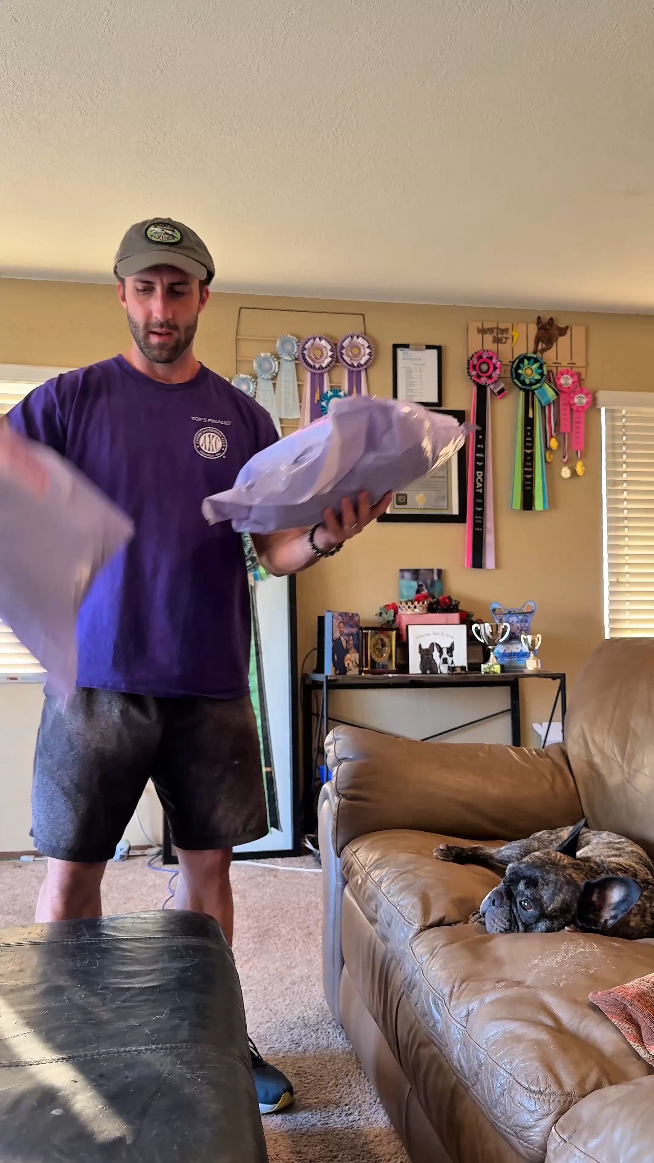 Video story thumbnail