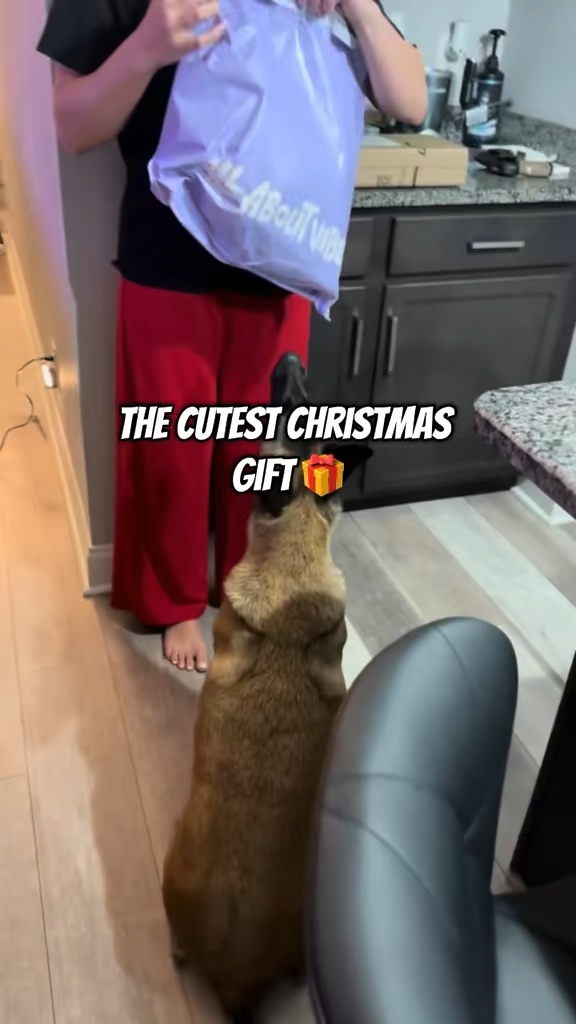 Video story thumbnail