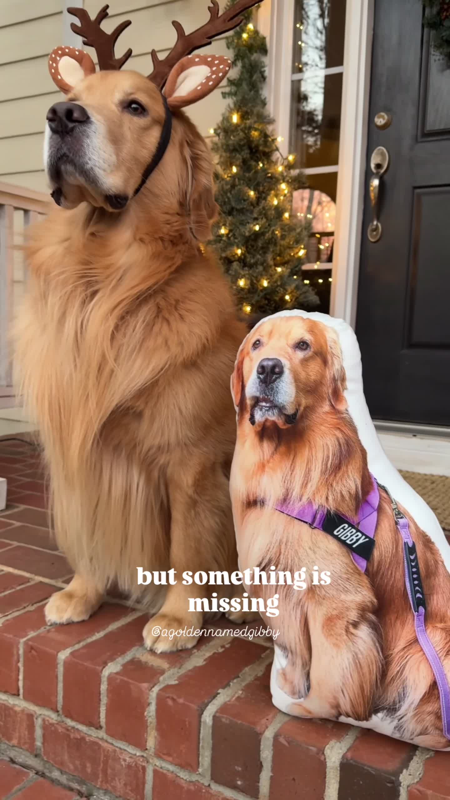 Video story thumbnail