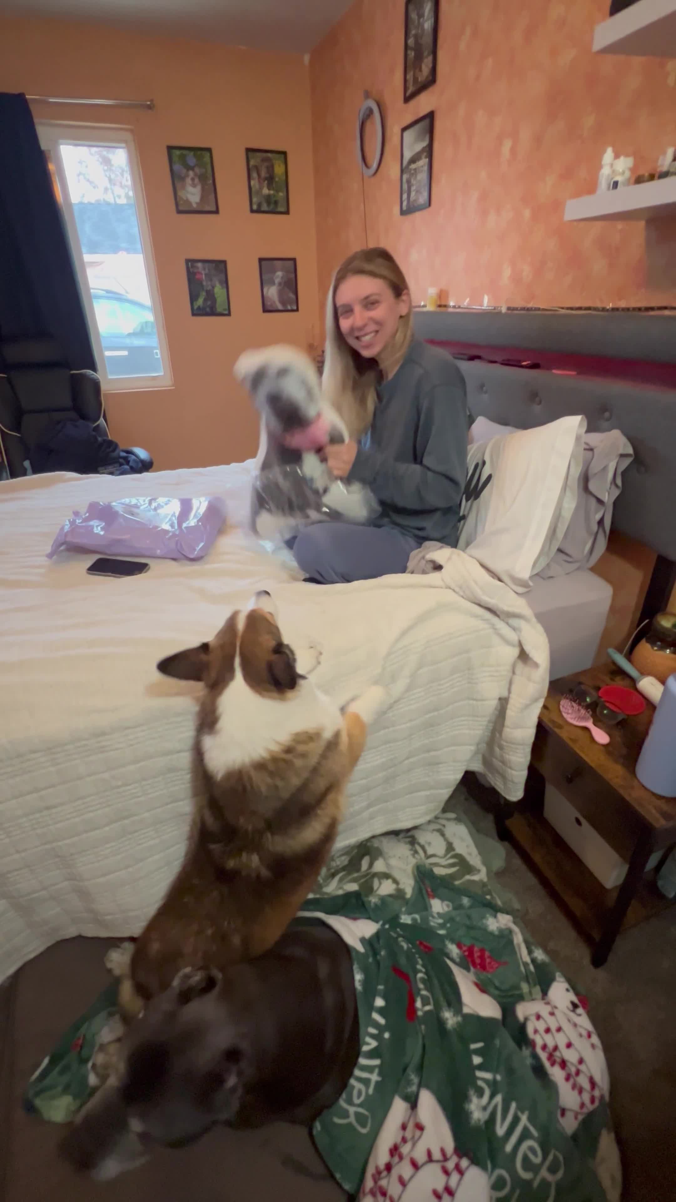 Video story thumbnail