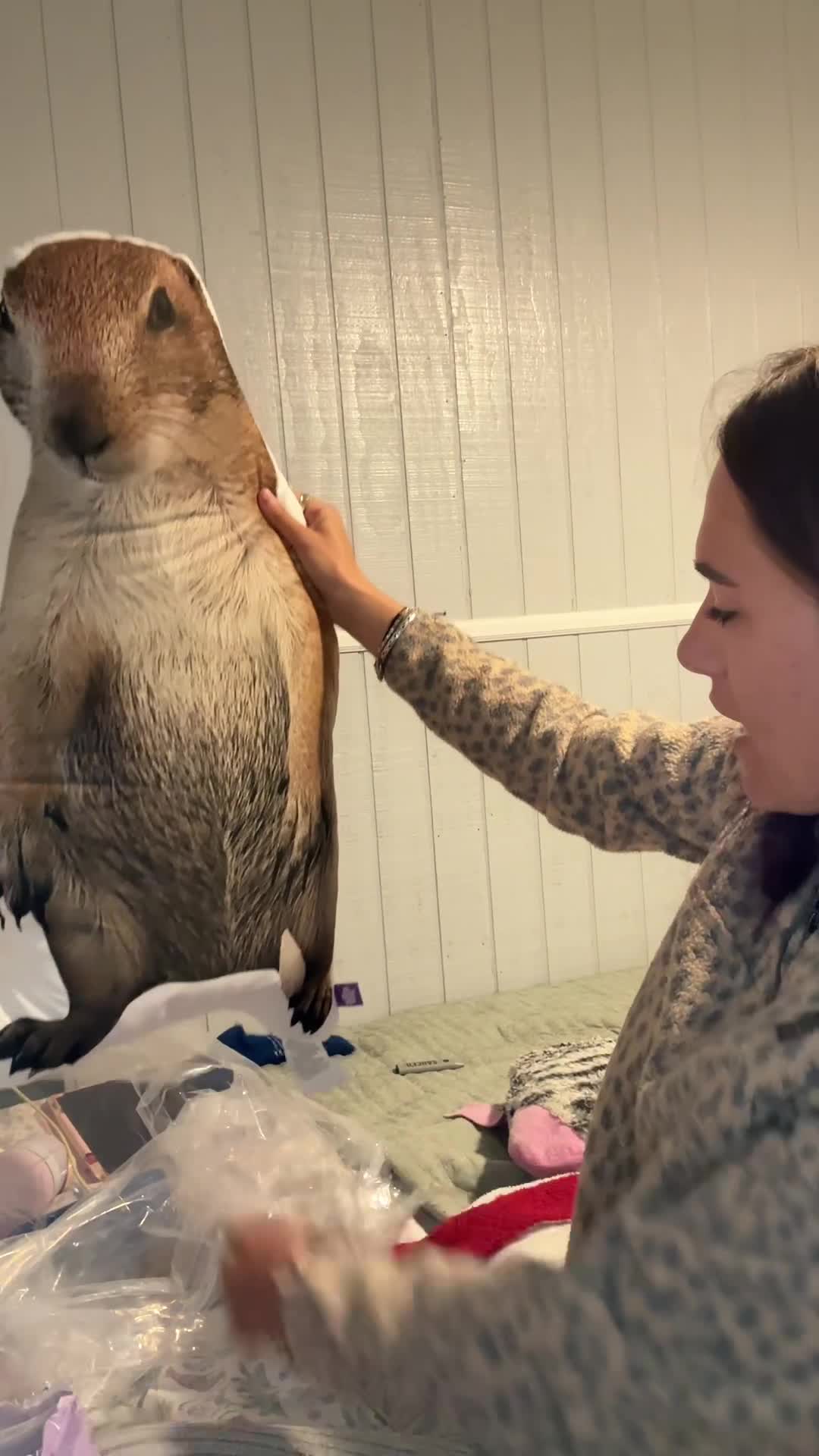 Video story thumbnail