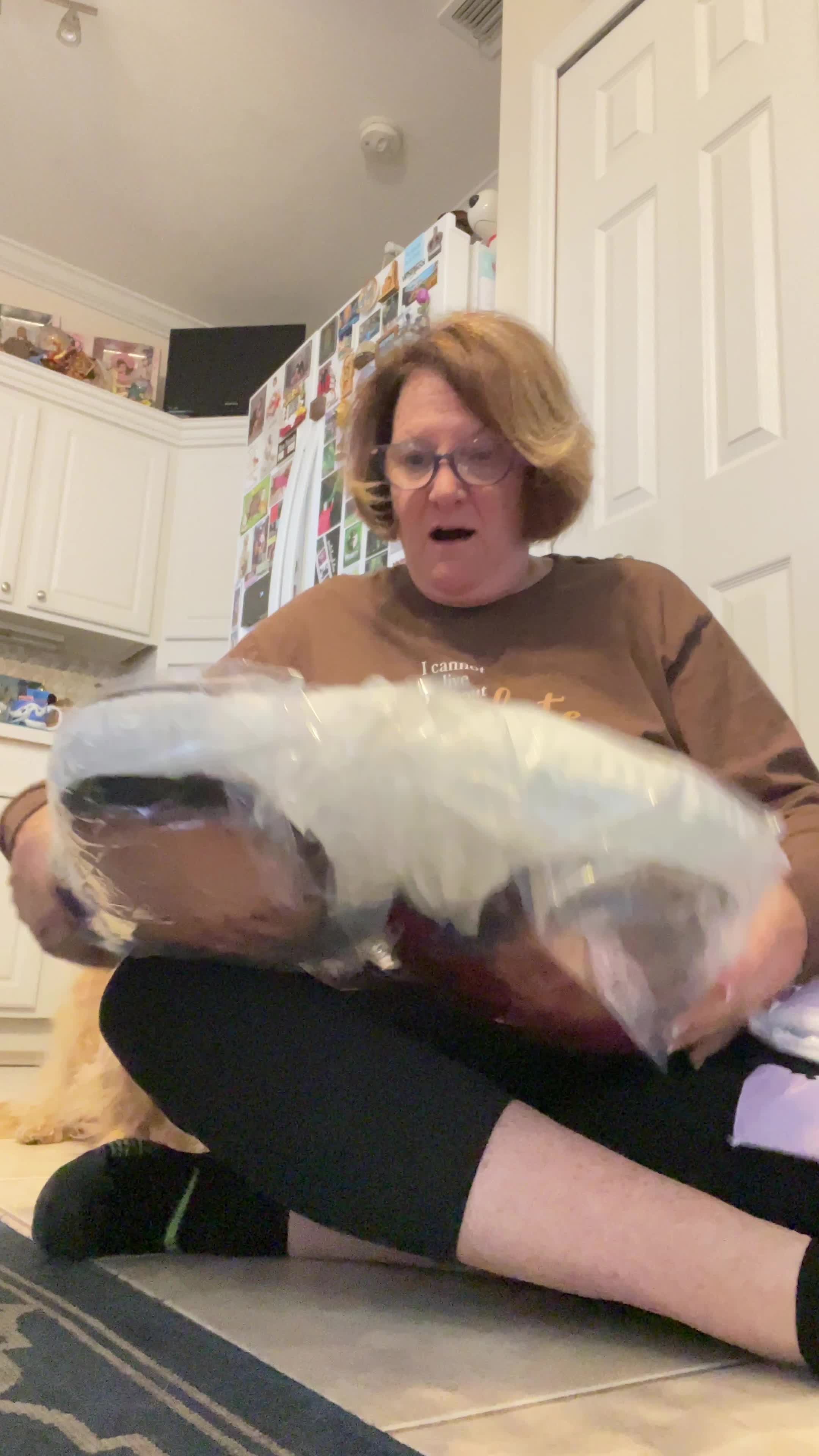 Video story thumbnail
