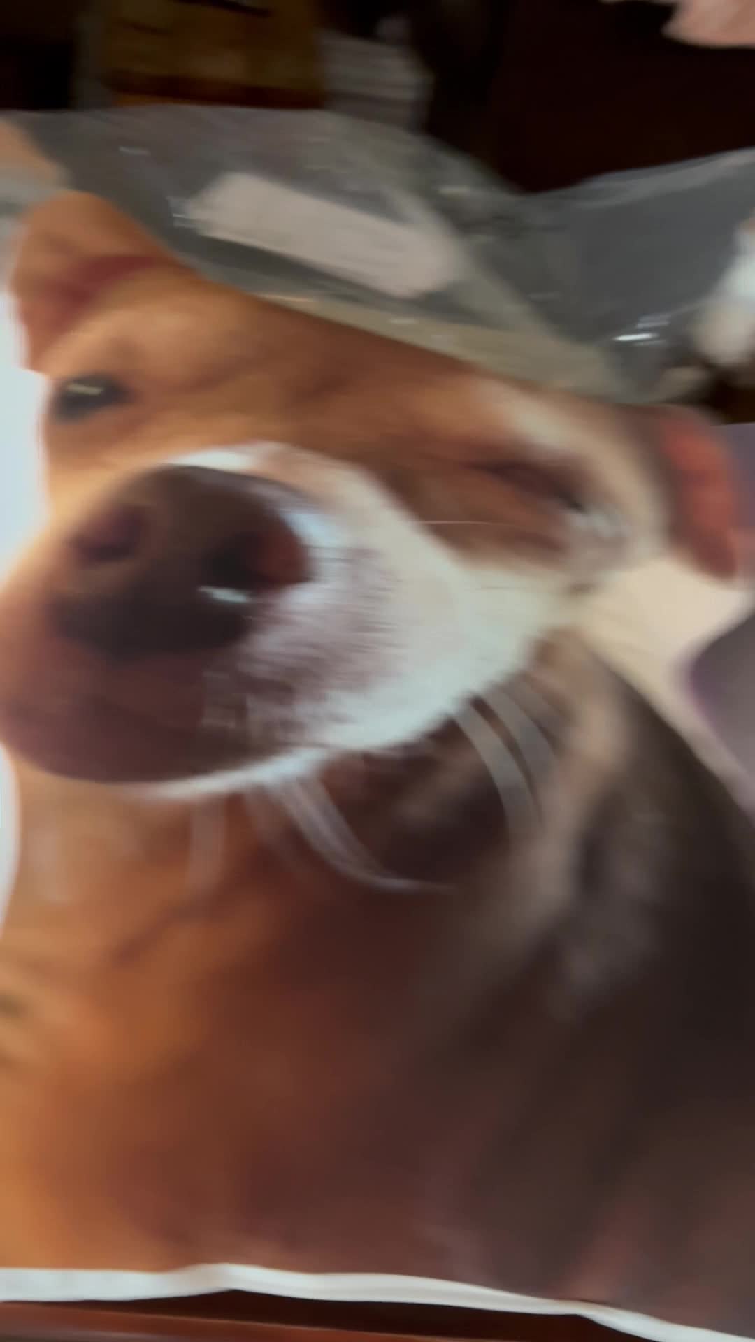 Video story thumbnail