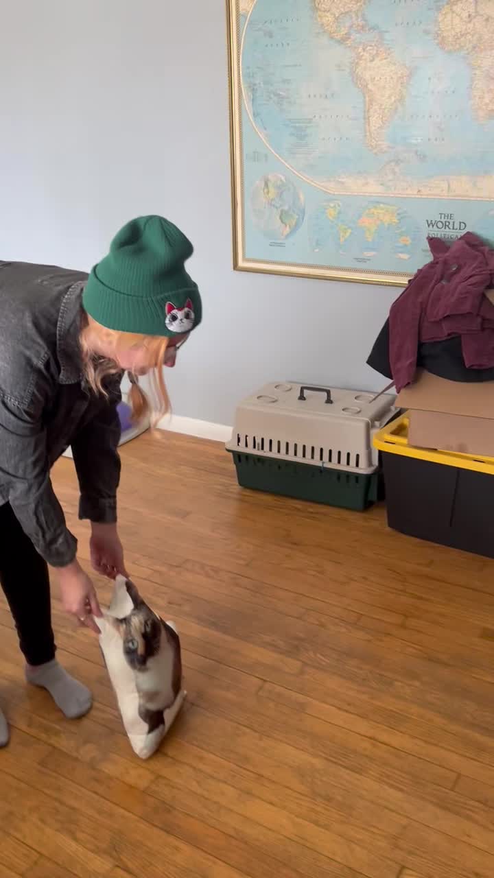 Video story thumbnail