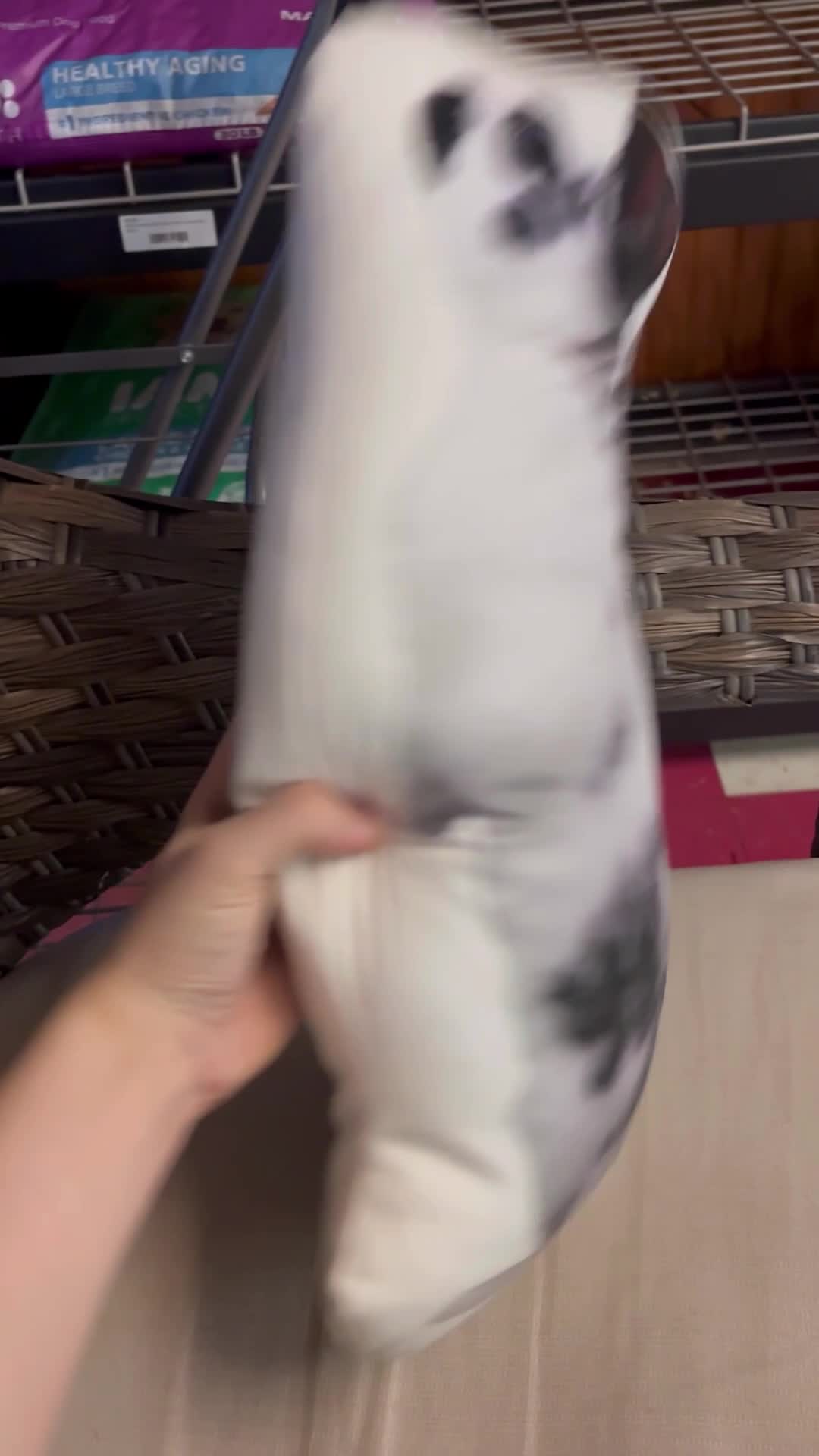 Video story thumbnail