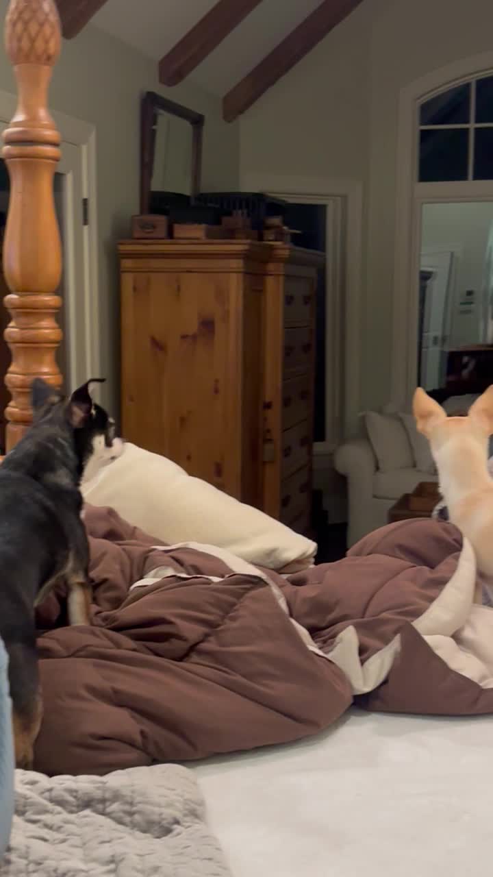 Video story thumbnail