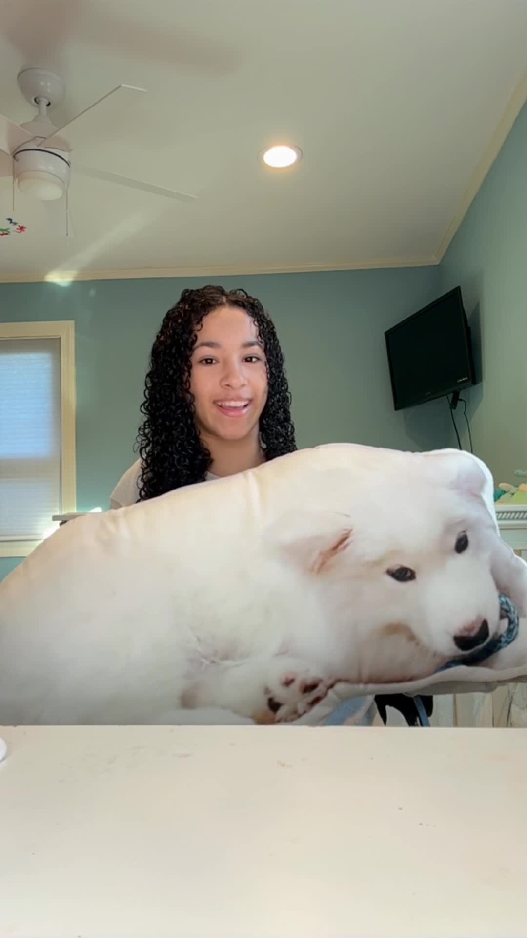 Video story thumbnail