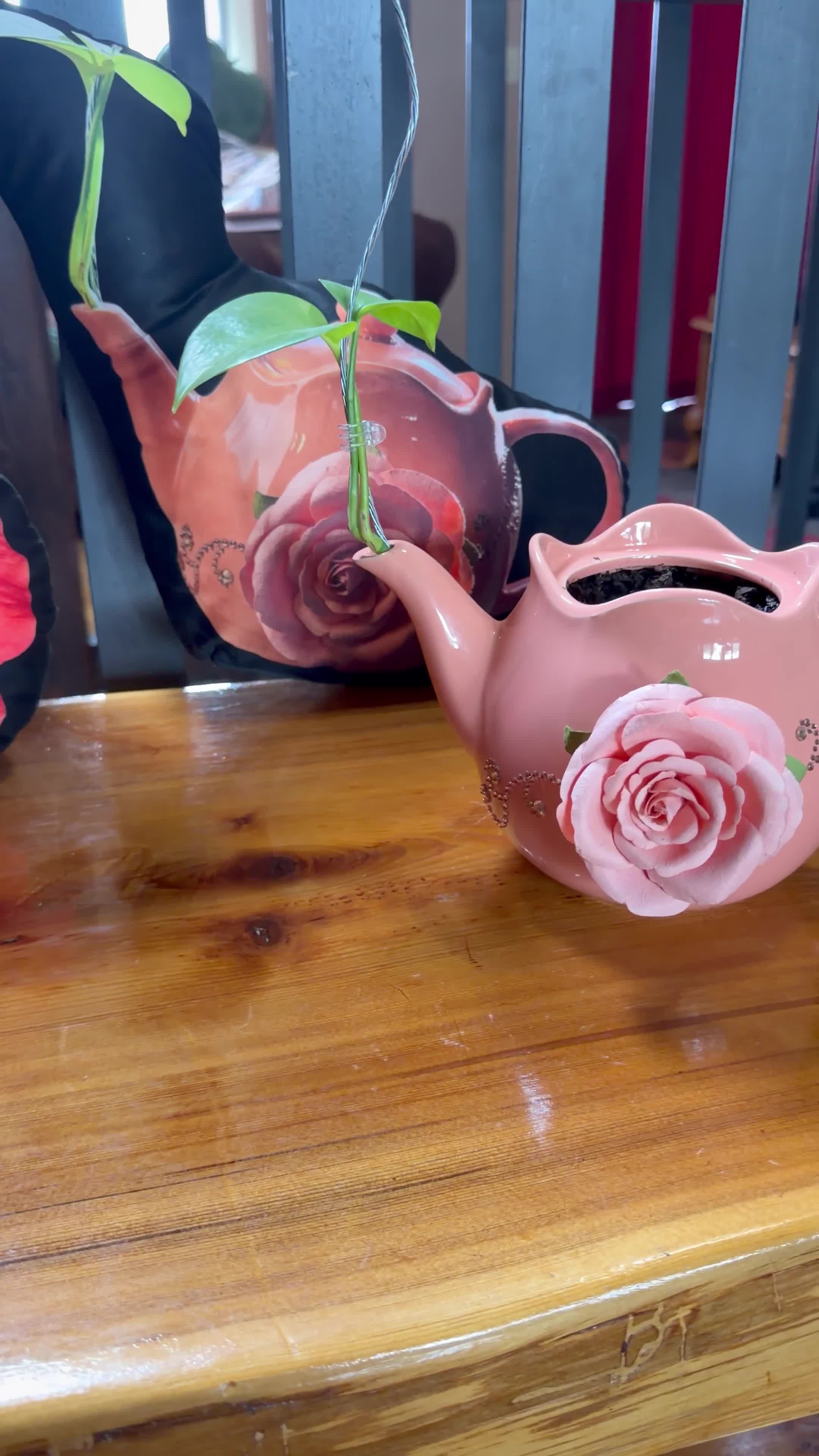 Video story thumbnail