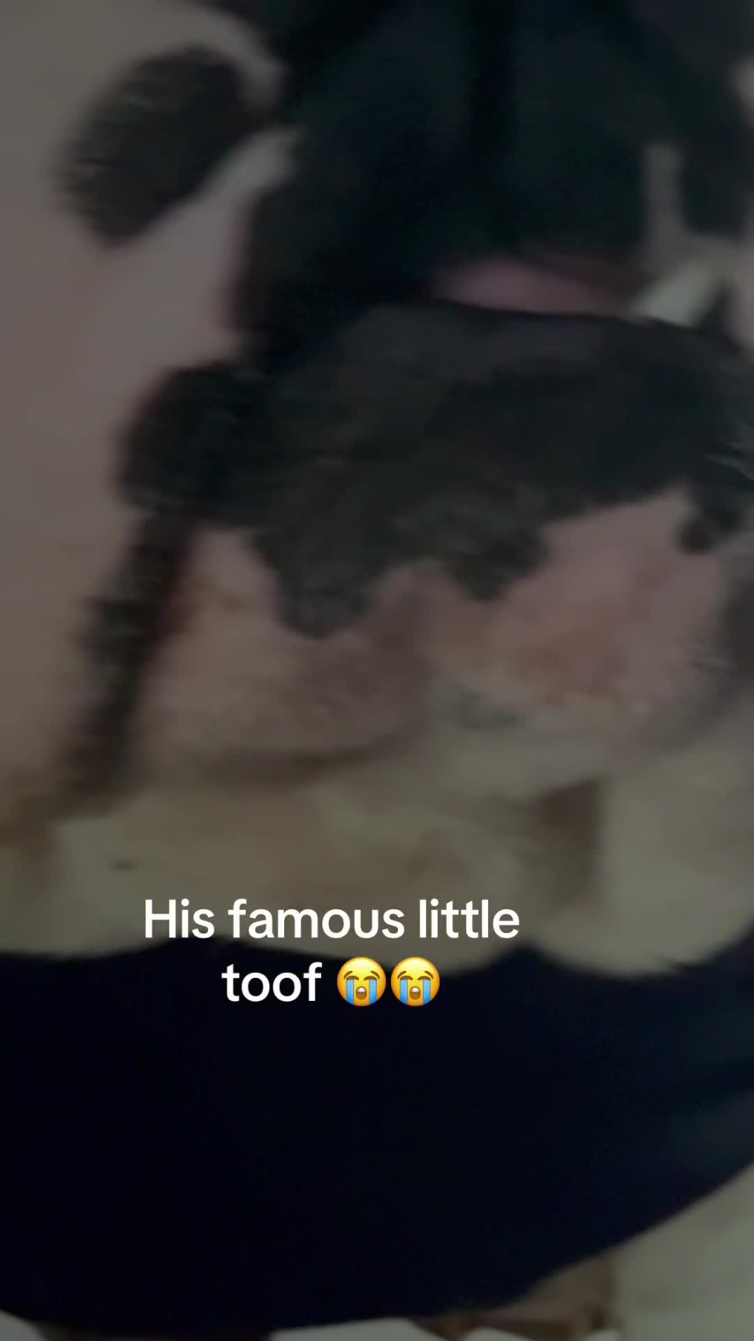 Video story thumbnail