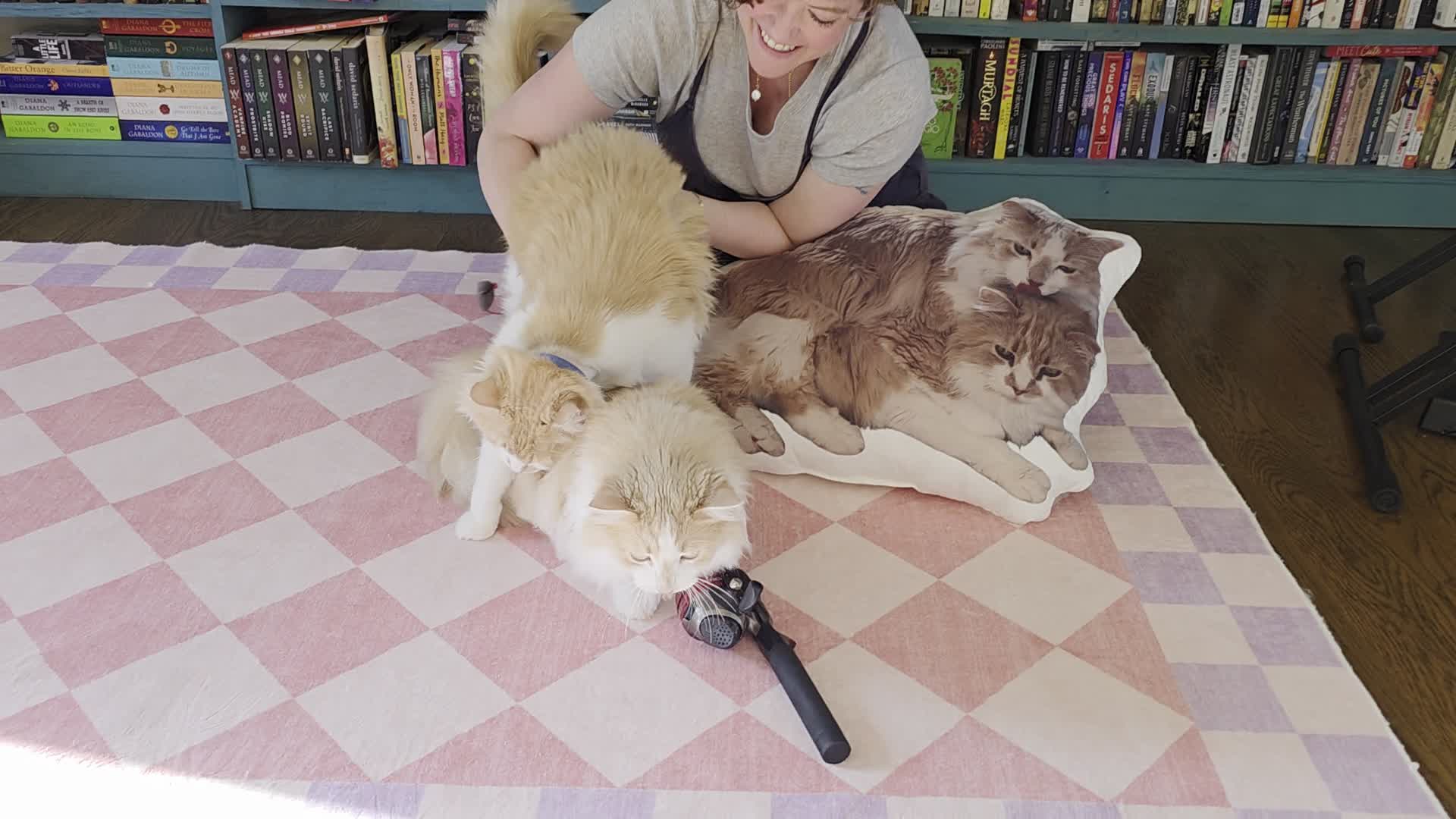 Video story thumbnail